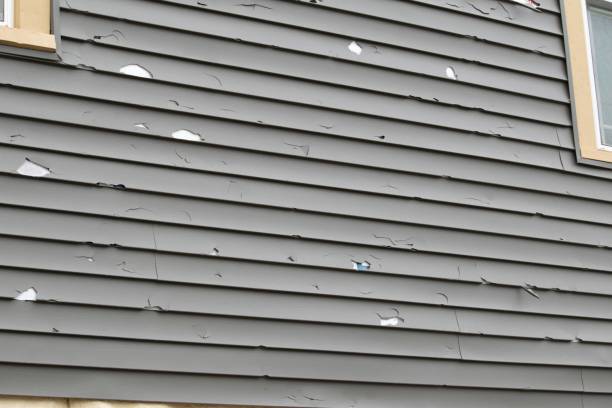 Best Wood Siding Installation  in Fort Hunt, VA