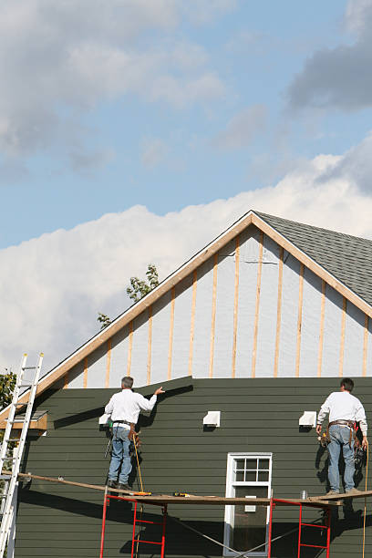 Best Siding Painting and Refinishing  in Fort Hunt, VA